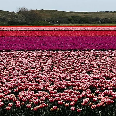 Vakantiehuis Beautiful North Holland Coast *