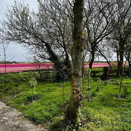 Vakantiehuis Beautiful North Holland Coast