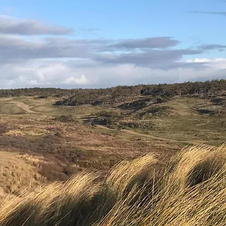 Beautiful In North Holland