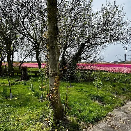 Beautiful In North Holland