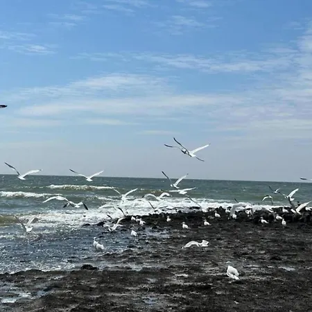 Beautiful In North Holland Holiday home *