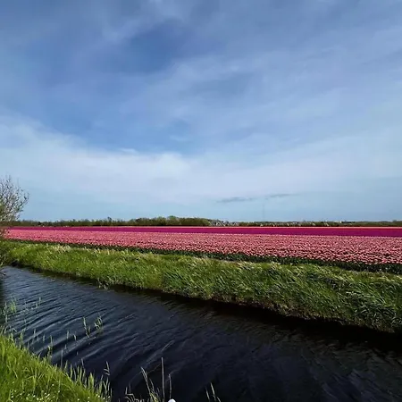 Beautiful In North Holland Holiday home Sint Maartensvlotbrug