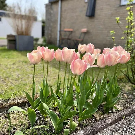 Beautiful In North Holland Sint Maartensvlotbrug