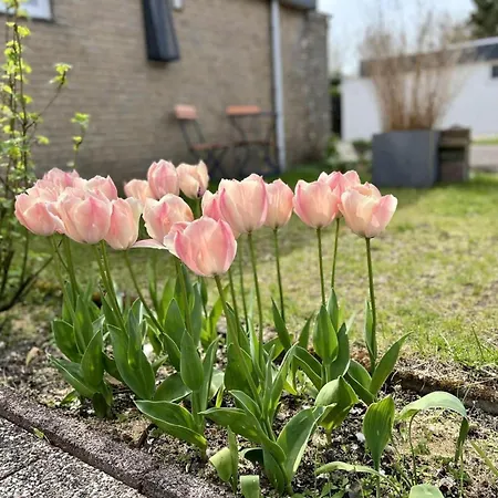 Beautiful In North Holland * Sint Maartensvlotbrug