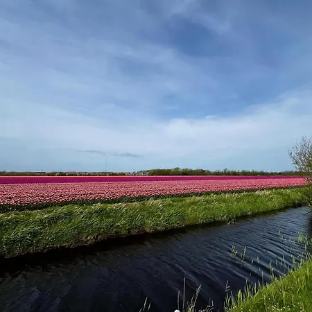 Beautiful In North Holland Holiday home *
