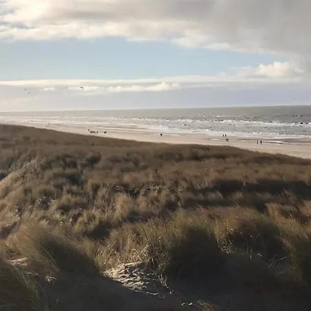 Beautiful In North Holland *