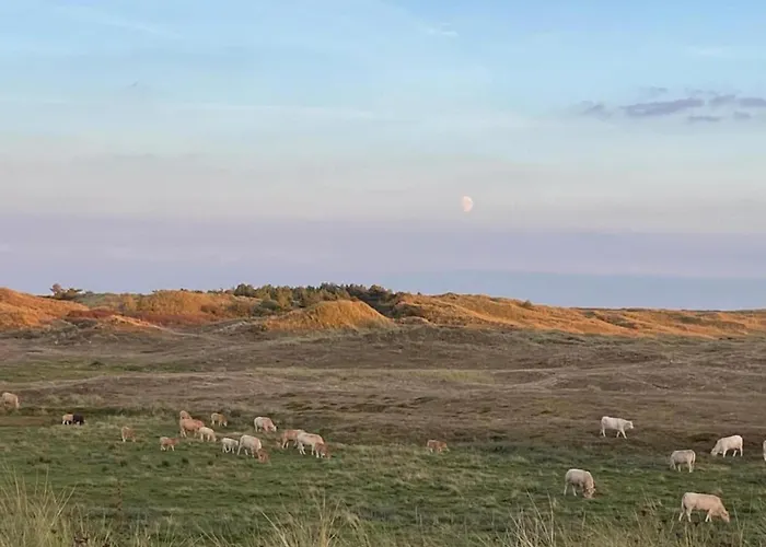 Beautiful In North Holland Sint Maartensvlotbrug