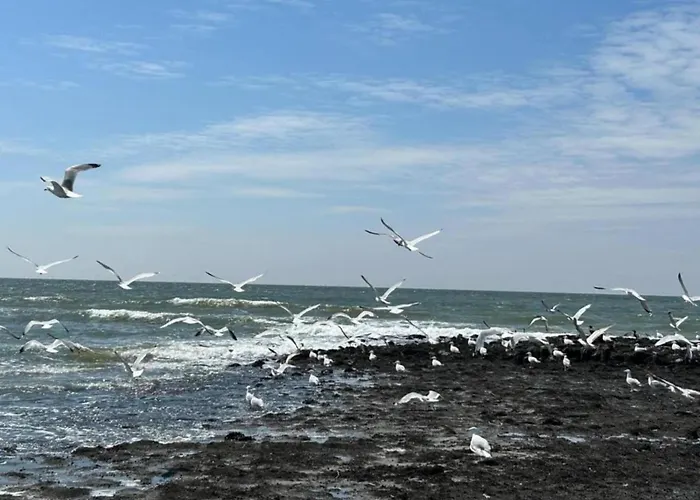 Beautiful In North Holland Hébergement de vacances *