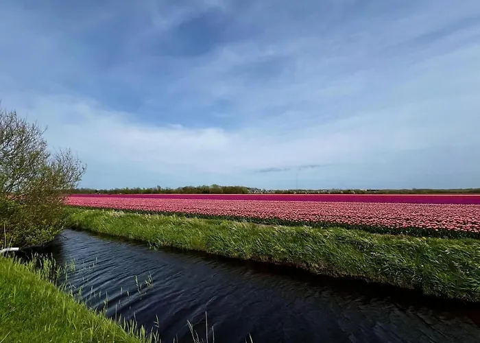 Beautiful In North Holland Hébergement de vacances Sint Maartensvlotbrug