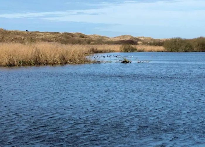 Beautiful In North Holland Hébergement de vacances