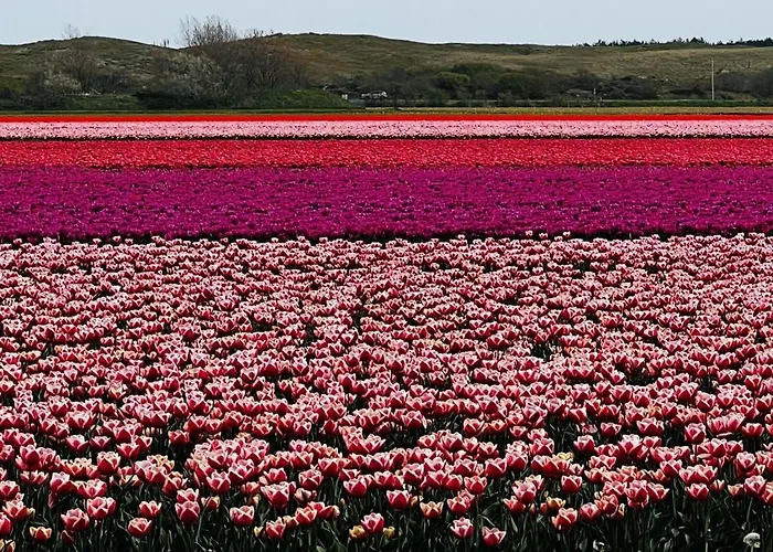 Hébergement de vacances Beautiful In North Holland Sint Maartensvlotbrug