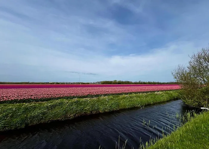 Beautiful In North Holland Hébergement de vacances *