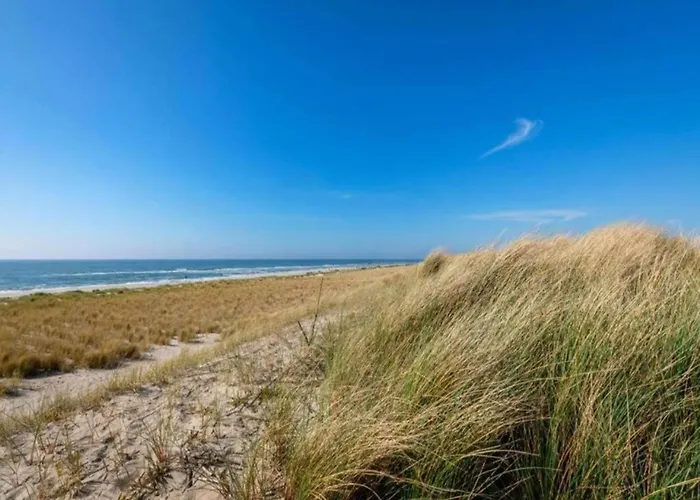 Beautiful In North Holland Hébergement de vacances