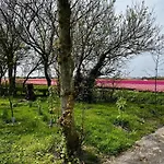Beautiful In North Holland