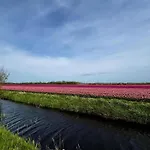 Beautiful In North Holland Nyaraló Sint Maartensvlotbrug