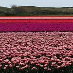 Nyaraló Beautiful In North Holland Sint Maartensvlotbrug