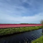 Beautiful In North Holland Nyaraló *