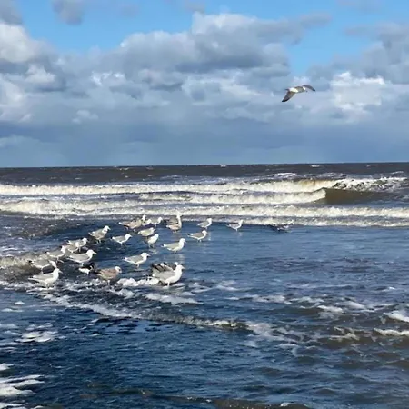 Tatil Evi Beautiful In North Holland