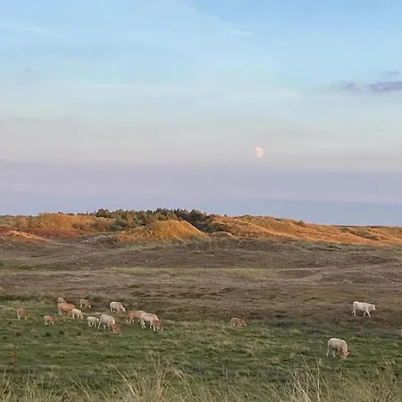 Beautiful In North Holland Sint Maartensvlotbrug