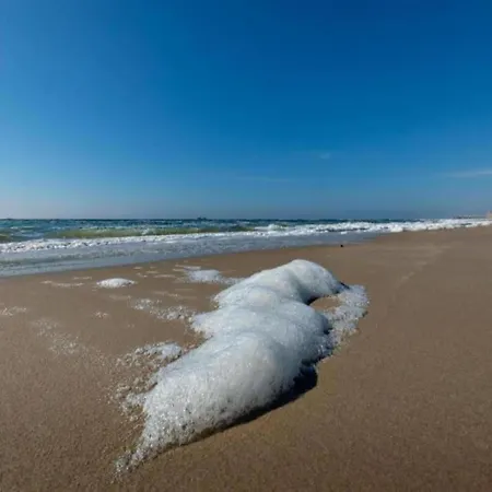 Beautiful In North Holland Tatil Evi