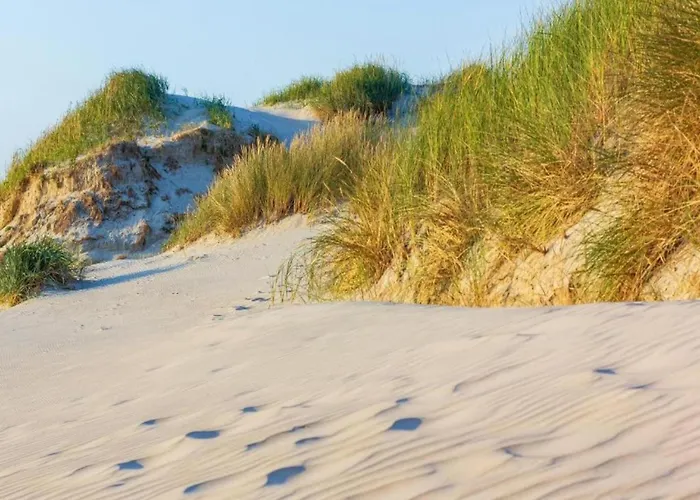 Beautiful In North Holland Sint Maartensvlotbrug