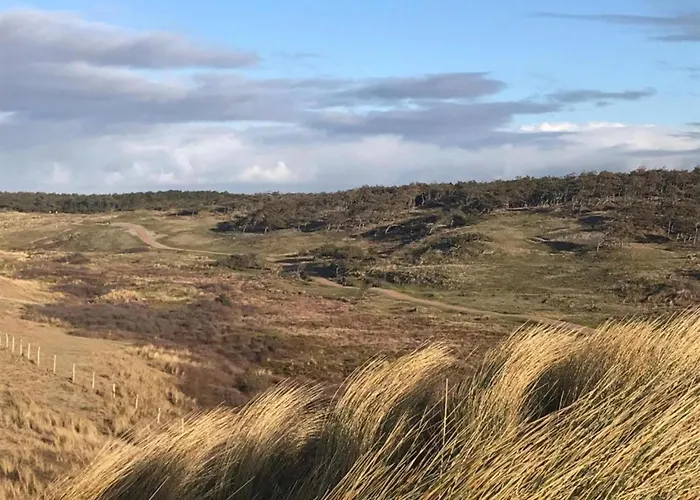 Beautiful In North Holland