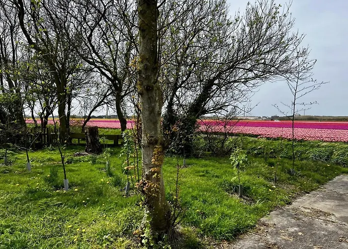 Beautiful In North Holland