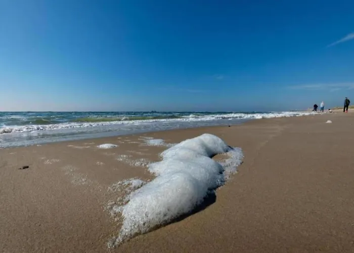 Beautiful In North Holland Tatil Evi