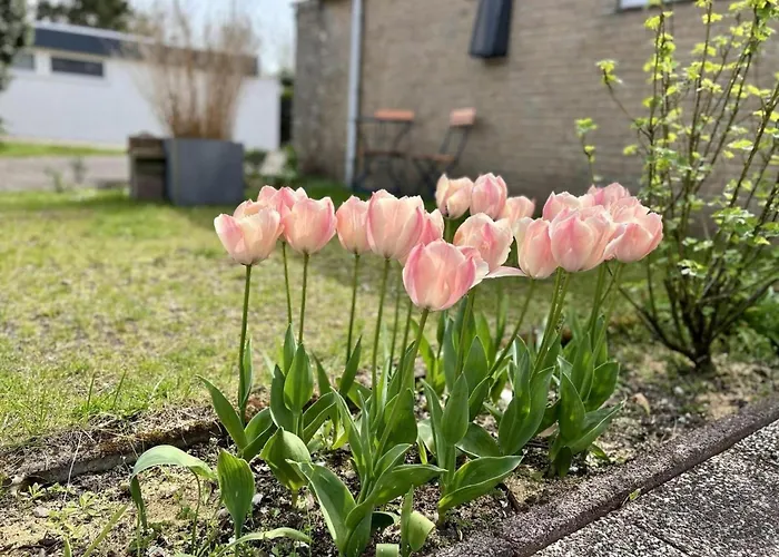 Beautiful In North Holland Sint Maartensvlotbrug
