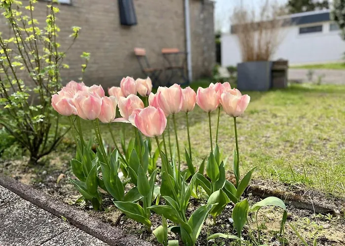 Beautiful In North Holland * Sint Maartensvlotbrug