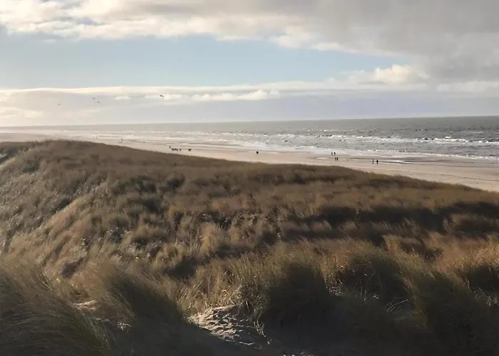 Beautiful In North Holland *